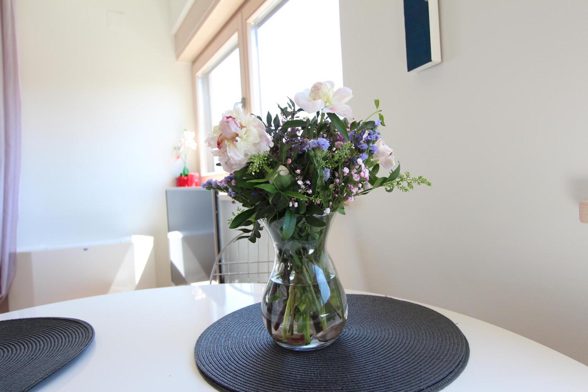 Makado Apartman Rovinj